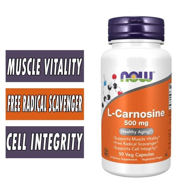 NOW L-Carnosine 500 mg - 50 Vcaps